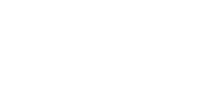 Artisan Logo White